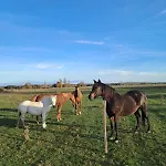 Eco-gite Du Four A Pain Les Brosses